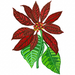 Flowers Embroidery Design 9